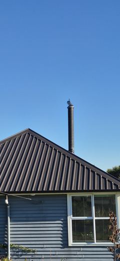 Fresh dark long-run roof and new flue
